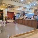 위드티쳐 | 계양구 애견운동장 위드티쳐 길동이는 비오는날도 문제없어!