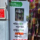만선식당 - 서귀포시 하모항구로 44 | 영월 맛집 만선식당 후기｜현지인 추천으로 다녀온 영월 한식 맛집, 여행 중 꼭 들러야 할 한 끼
