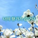 너의향기