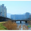 갈맷길 8-2 구간 이미지