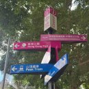 홍콩 즉흥여행 2편 (카우키, 홍콩숙소추천, 미드레벨, 피크트램, 초이홍아파트, 미슐랭 딤섬(yat tung...