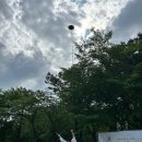 민들레장 | 문산마을 인권문화제 - 인권이 우리야