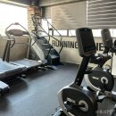 (주)알파바이오 | 급찐살다이어트 휴가철 몸매관리 ❝예본바이오 알파시디라이트❞