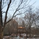 부평공원1 이미지