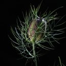 박사펜션 이미지