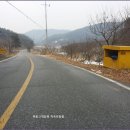 상장1리 Daum카페