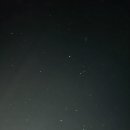 명성게찜 이미지