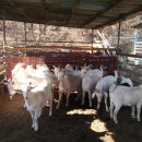 정남농장 이미지