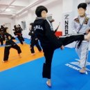 합기도 양우관 총본관 이미지