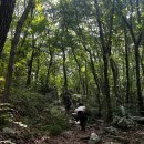 팔영산야영장 | [고흥여행]다도해상국립공원팔영산캠핑장 유영봉 등반, 능가사 부처님오신날 방문후기