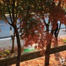 팔공산올레길 4코스 이미지