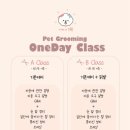 금촌애견 네이버블로그