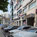 동화프라자 | 서초 탈모/두피케어 모리셋 모낭플란트 후기