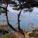일품양평해장국살미점 | 악어섬 충주 악어봉 악어섬 가는 방법