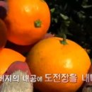 김영삼농장 이미지