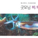 비타오션