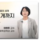 표면에서 일어나는 화학 반응의 세계_이현주_카이스트 생명화학공학과 교수 이미지