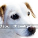 (주)서울동물병원 이미지