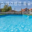 파라독스글램핑 이미지