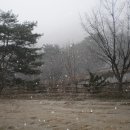 화천포레스트 이미지