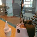 중동목장 이미지