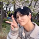 최성준 카카오 검색결과