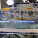 현해탄수산 이미지