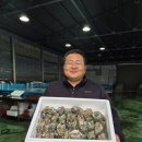 어업회사법인 바다채소 주식회사 | 전복 외길 15년 김권웅 대표의 원칙 불량율 1%미만 100%환불