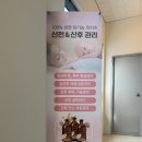 테라피도림 이미지
