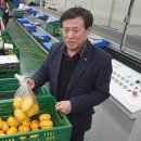 벽진농업협동조합 이미지