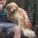 해탈, 그 이후의  이미지