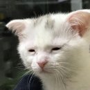 삼일모텔 | 0503 - 0507 지프지기 후기