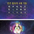 힐링 선 이미지