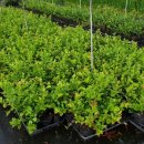 이삭농장 이미지