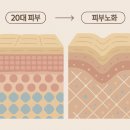 해운대 우동 피부과, 울쎄라 덴서티? 아무데서나 받으면 돈만 날립니다.
