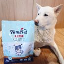 대한사료공업(주) | 울집 강아지 눈 건강 사료 국개대표 패미펫 오리 황태 눈 플러스 먹여본 후기