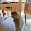 총각네 강아지 이미지