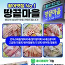 땅끝회수산 이미지