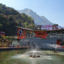 칠오닭갈비춘천점 이미지