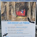 동강산장
