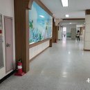 우쿨렐레교실 B 이미지