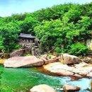 충청북도 계곡 추천 제천 괴산 당일치기 물놀이 가볼만한곳 베스트 10 여름 휴가지 주말 나들이 평상...