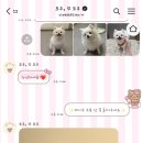 모쿠, 또모쿠 이미지