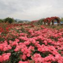 반짝반짝 레진아트2 이미지