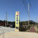 완도해송팬션 이미지