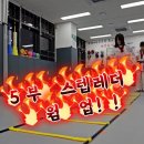 산울빛 태권도 이미지