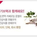 생기보력 이미지