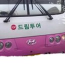TOP드림투어