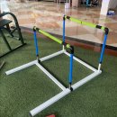 와이스포츠클럽YSPORTCL | 자유롭게 높이 조절되는 허들 프레임으로 육상 훈련의 질이 달라져요