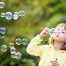 오늘 콕 이미지